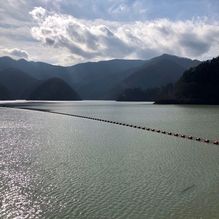 さーとし1018さんが投稿した奥多摩湖の桜に関する口コミの画像