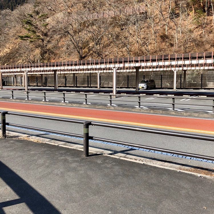 さーとし1018さんが投稿した奥多摩湖の桜に関する口コミの画像
