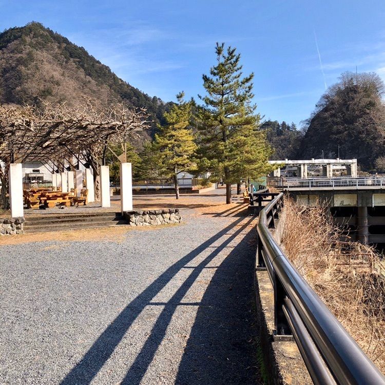 さーとし1018さんが投稿した奥多摩湖の桜に関する口コミの画像