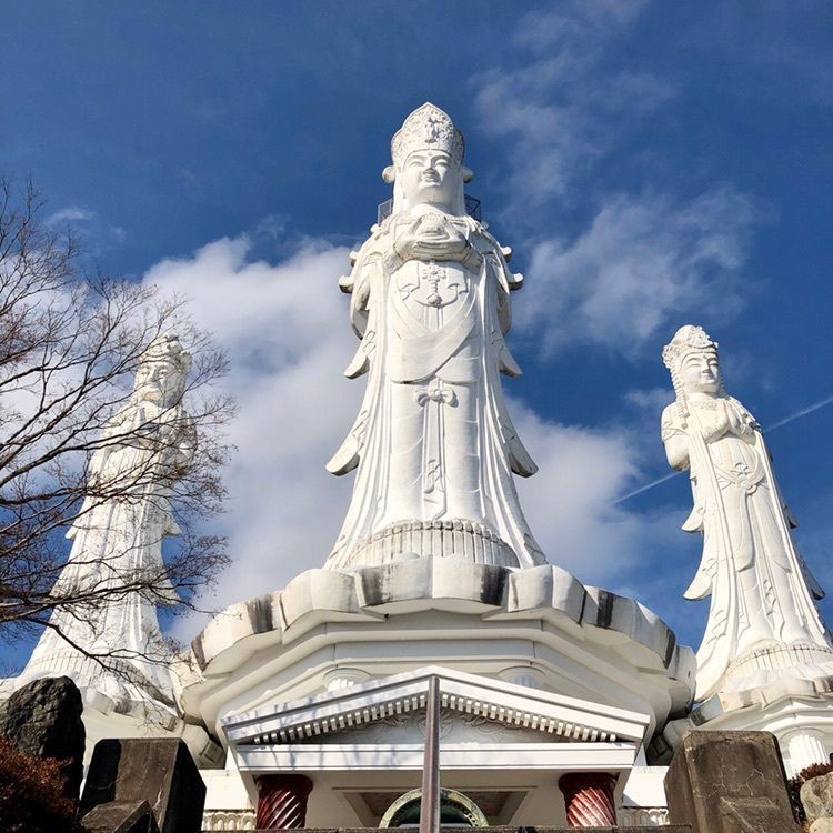 さーとし1018さんが投稿した白雲山に関する口コミの画像