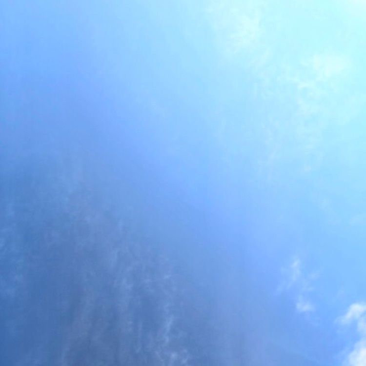 さーとし1018さんが投稿した白雲山に関する口コミの画像