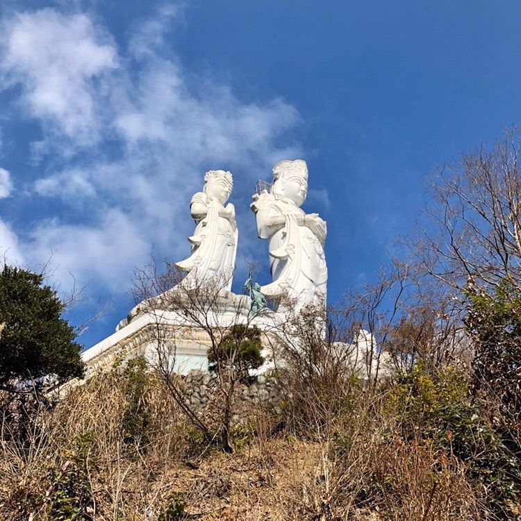 さーとし1018さんが投稿した白雲山に関する口コミの画像