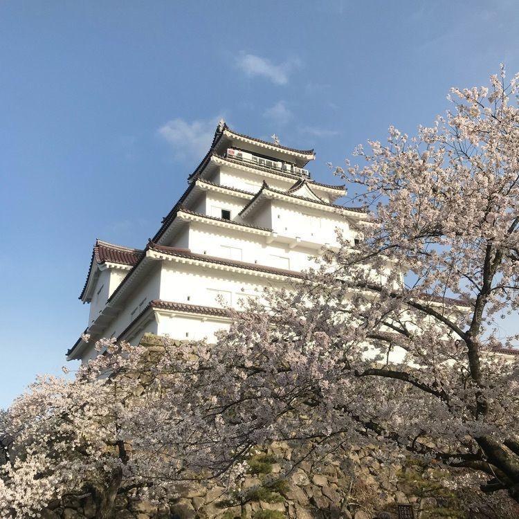 Hiroyukiさんが投稿した鶴ヶ城天守閣 ミュージアムショップ（【旧店名】鶴ヶ城天守閣売店）に関する口コミの画像