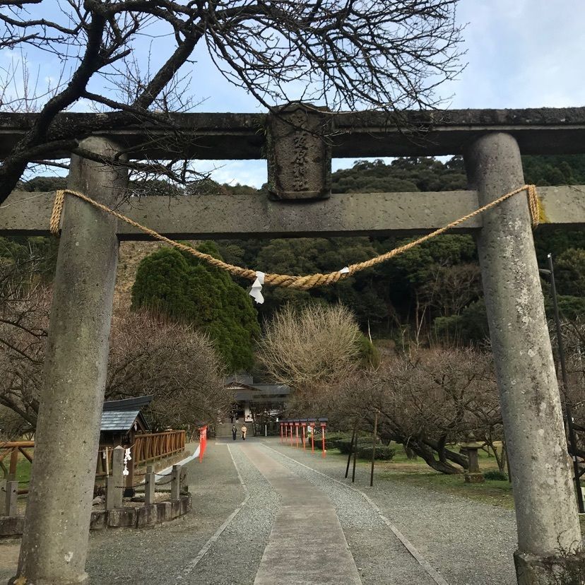 pooh－miffyさんが投稿した菅原神社（藤川天神）に関する口コミの画像