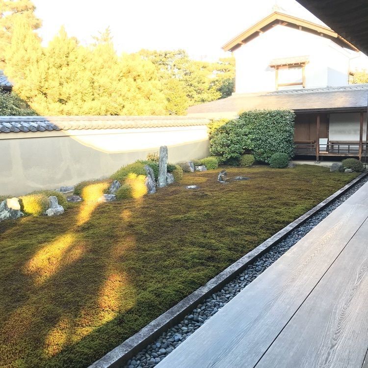 NBR OTさんが投稿した龍源院に関する口コミの画像