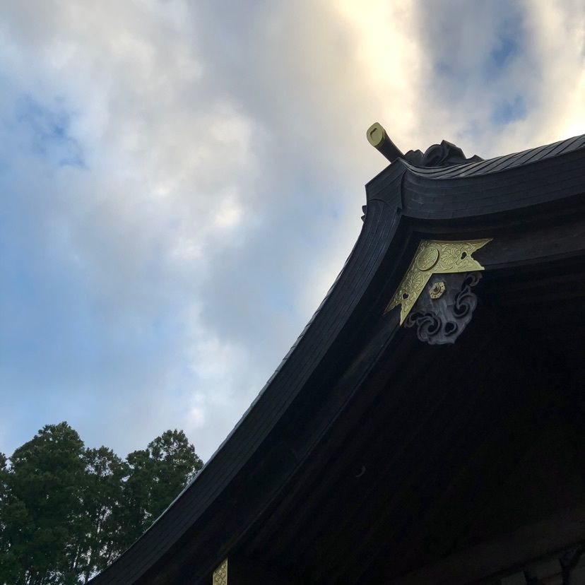 Miracleさんが投稿した金刀比羅神社に関する口コミの画像