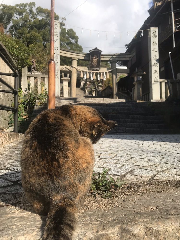 キングチェリーさんが投稿した御袖天満宮に関する口コミの画像