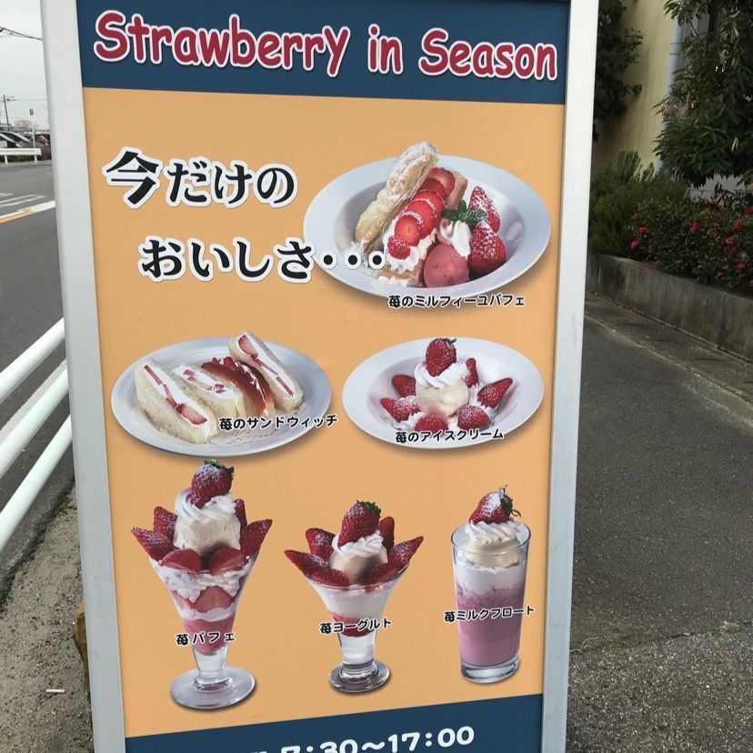 speed_starさんが投稿したドルフィンに関する口コミの画像