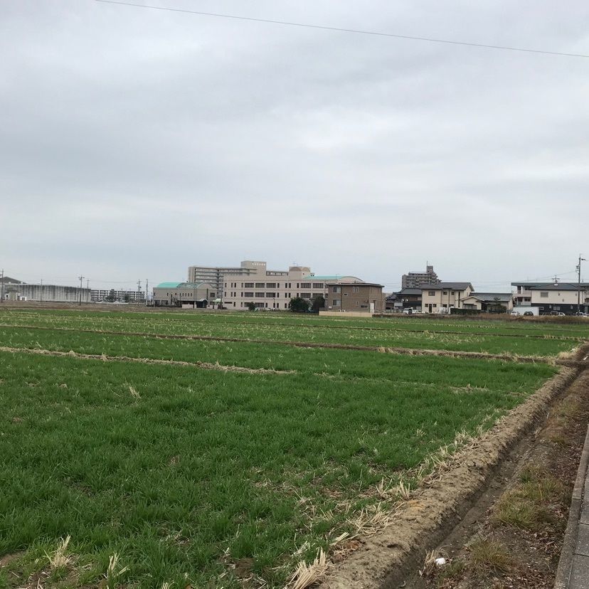 speed_starさんが投稿したドルフィンに関する口コミの画像