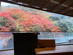 愛媛県の穴場おすすめ温泉5選！日帰り・温泉付き宿もあり  aumo[アウモ]