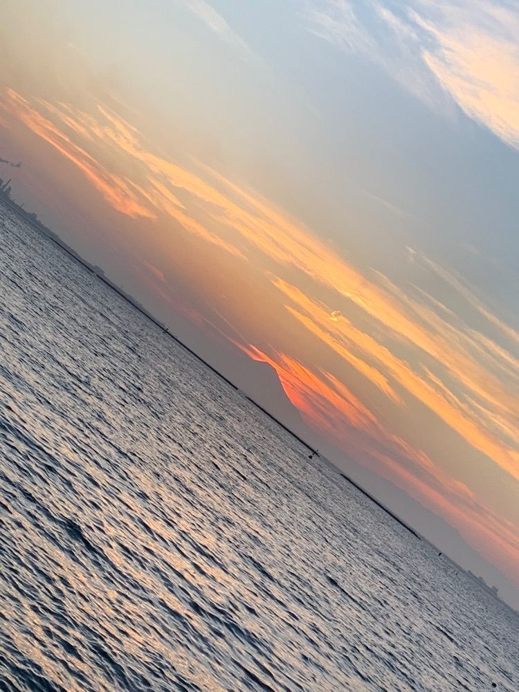 かますさんが投稿した潮浜公園に関する口コミの画像