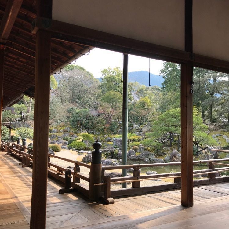NBR OTさんが投稿した醍醐寺(京都市伏見)に関する口コミの画像