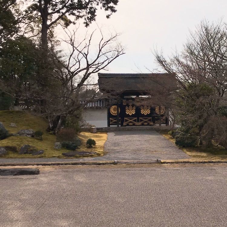 NBR OTさんが投稿した醍醐寺(京都市伏見)に関する口コミの画像