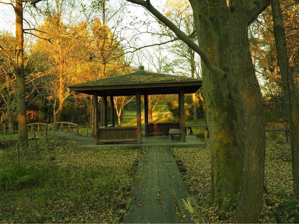 Shoさんが投稿した磯川緑地公園に関する口コミの画像