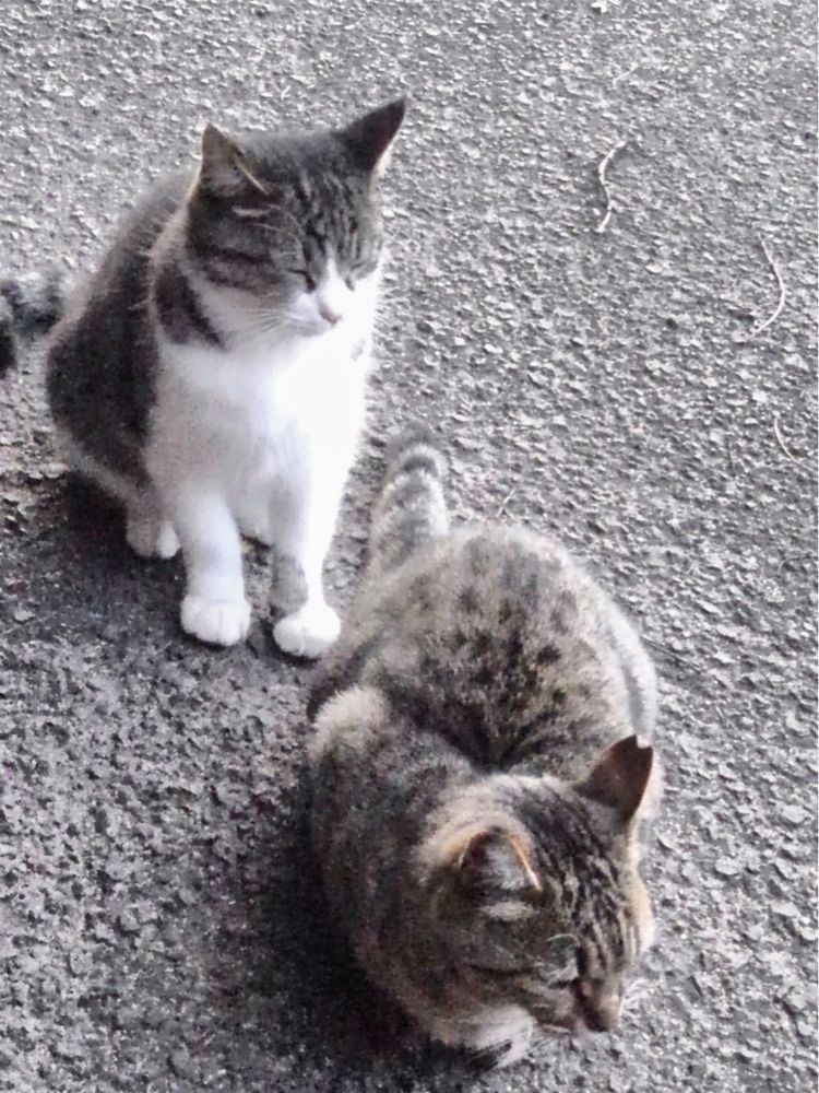 みぃさんが投稿した山田海岸に関する口コミの画像