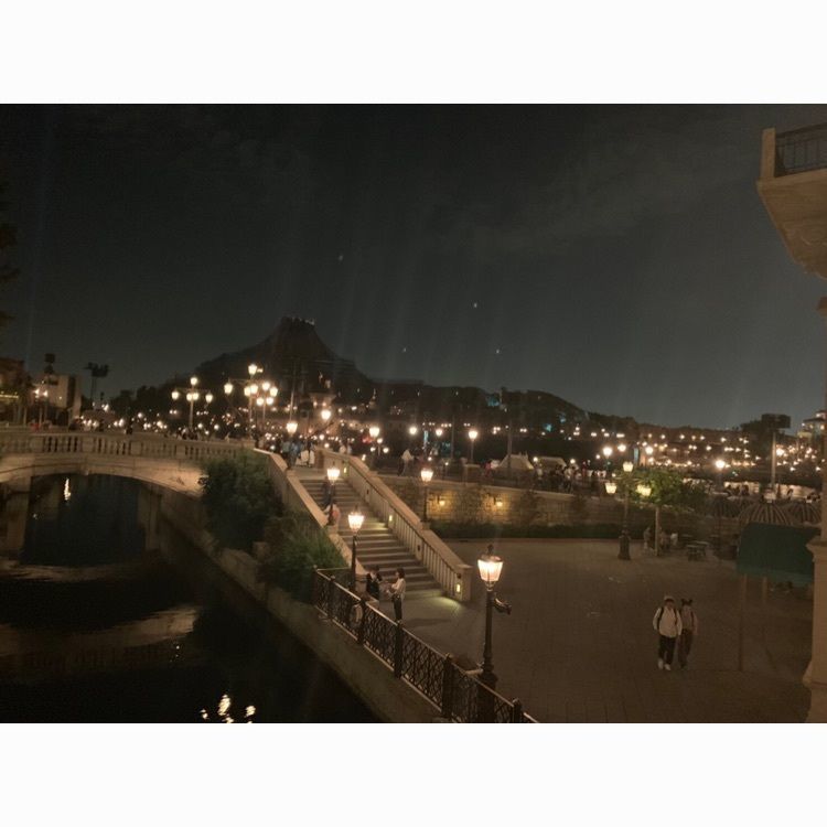 rina310さんが投稿した東京ディズニーシーに関する口コミの画像