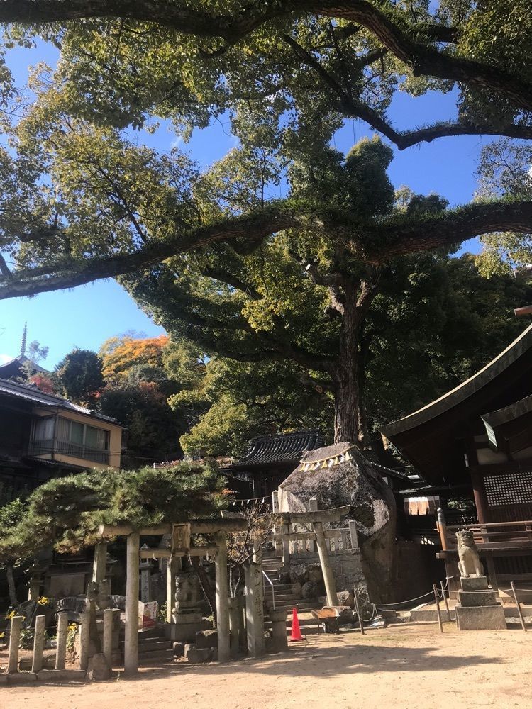 キングチェリーさんが投稿した艮神社に関する口コミの画像
