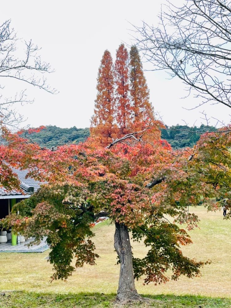 Mitsuさんが投稿した定光寺に関する口コミの画像