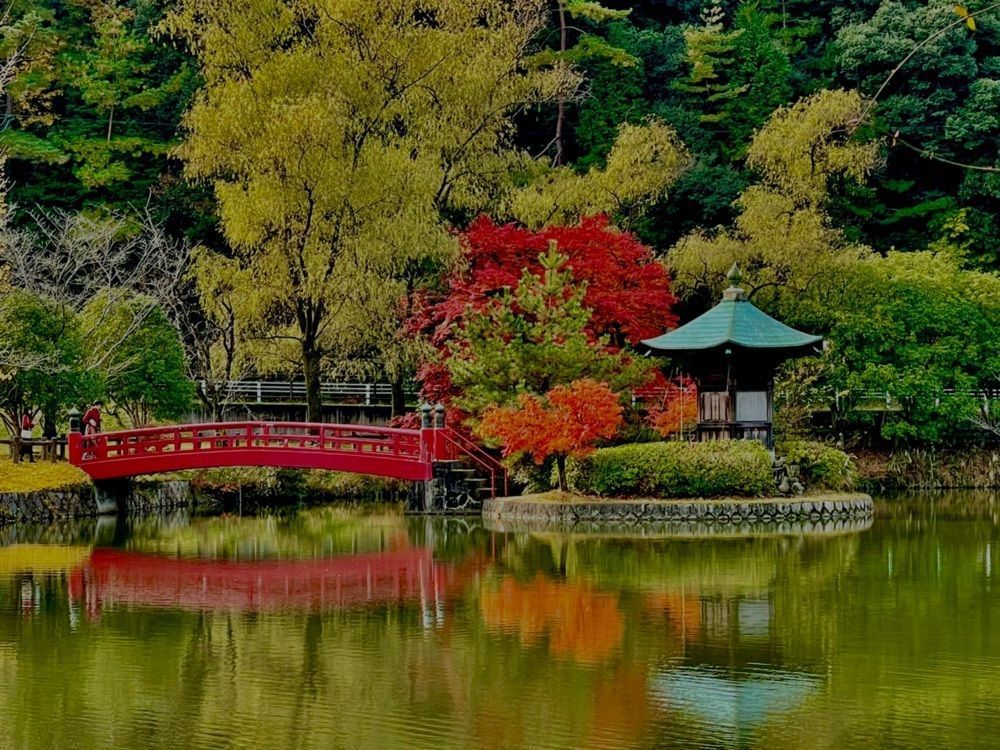 Mitsuさんが投稿した定光寺に関する口コミの画像