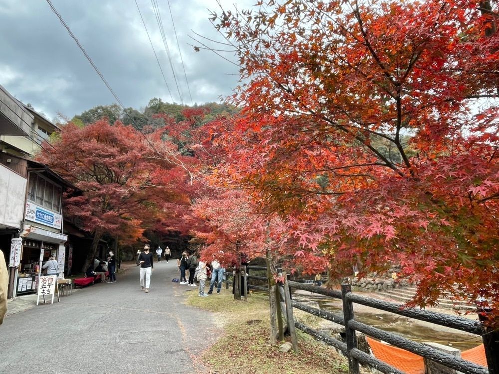 Mitsuさんが投稿した岩屋堂公園に関する口コミの画像