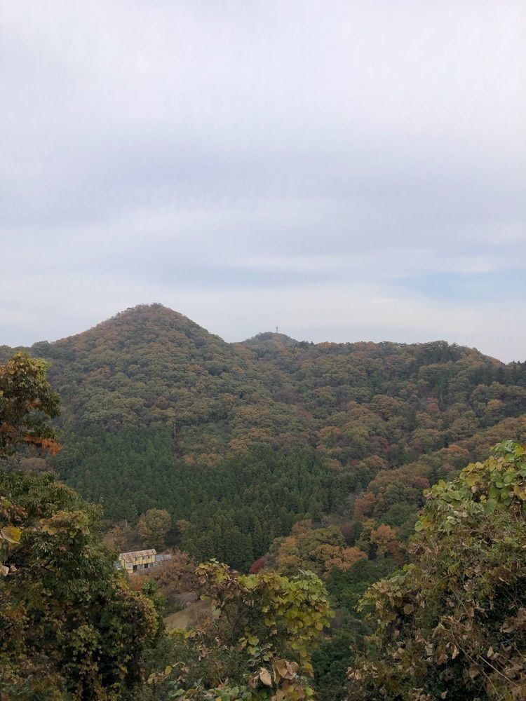 からっ風②さんが投稿した唐沢山の紅葉に関する口コミの画像
