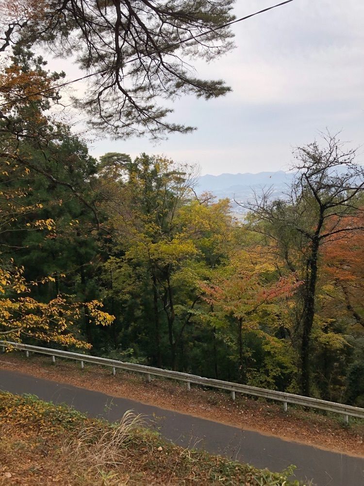 からっ風②さんが投稿した唐沢山の紅葉に関する口コミの画像