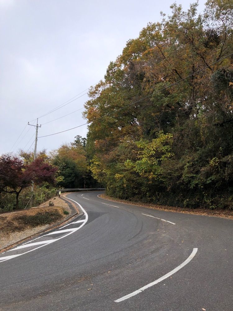 からっ風②さんが投稿した唐沢山の紅葉に関する口コミの画像