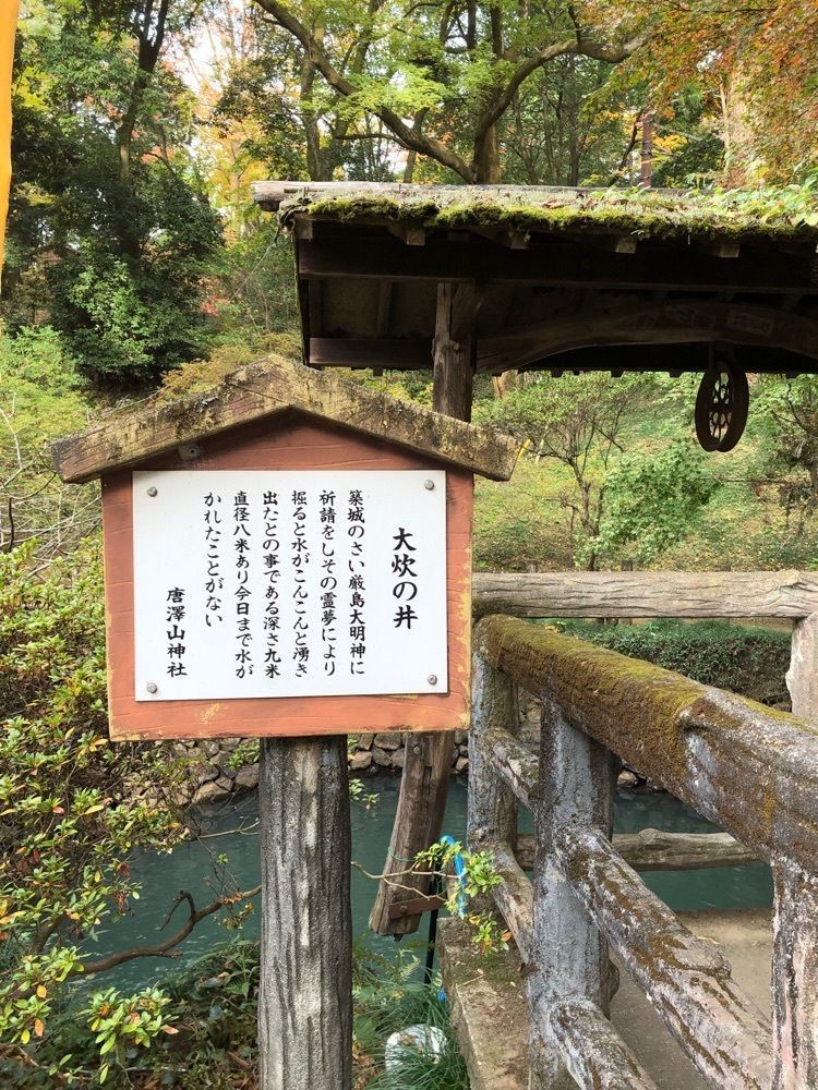 からっ風②さんが投稿した大炊の井に関する口コミの画像
