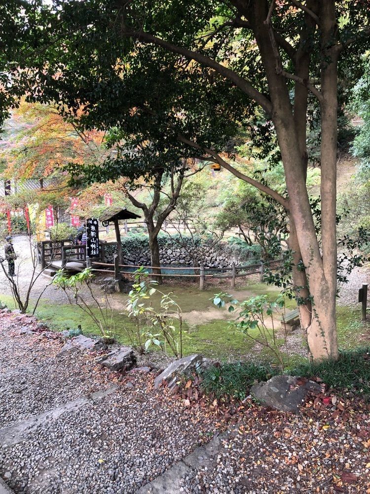 からっ風②さんが投稿した大炊の井に関する口コミの画像