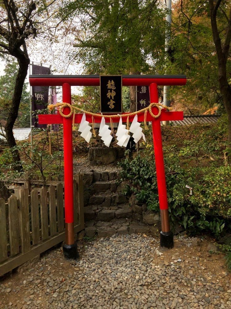 からっ風②さんが投稿した大炊の井に関する口コミの画像