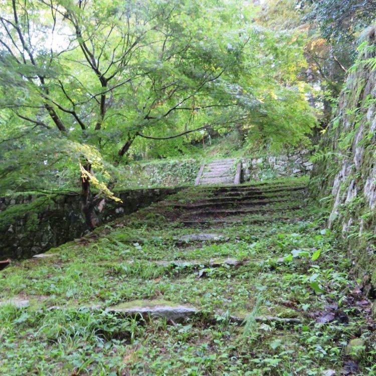 ＤＪゴン太さんが投稿した岩村城跡に関する口コミの画像