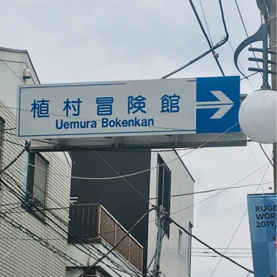 りゅうぽんさんが投稿した植村冒険館に関する口コミの画像