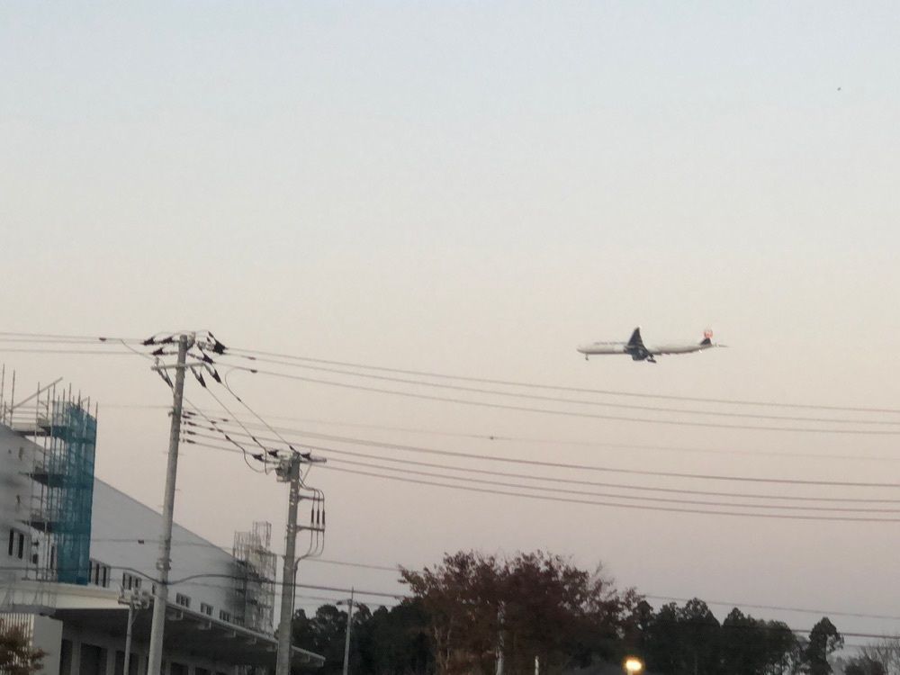 rural_museum_d8f2さんが投稿した芝山千代田駅に関する口コミの画像