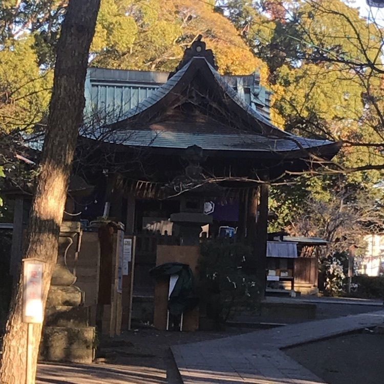 eririnさんが投稿した御穂神社に関する口コミの画像