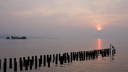 島根県立美術館 6枚目