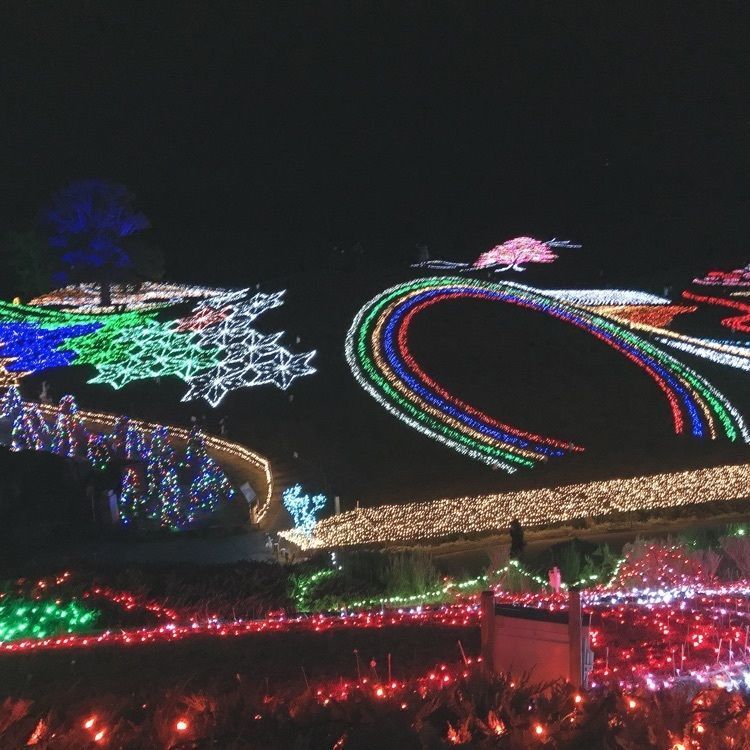 beau★さんが投稿した国営讃岐まんのう公園に関する口コミの画像