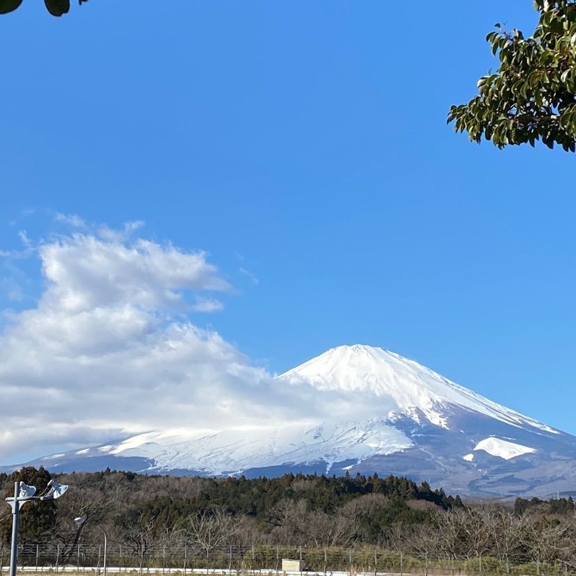 RIMさんが投稿した竹之下古戦場に関する口コミの画像
