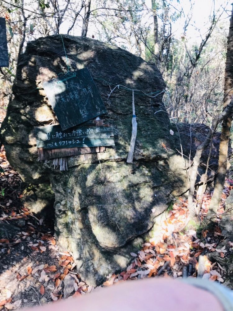 brave777さんが投稿した県立自然公園鴨池に関する口コミの画像