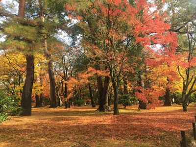 兼六園