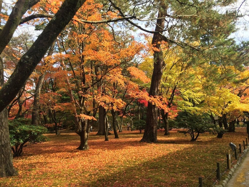 Miiyaさんが投稿した兼六園に関する口コミの画像