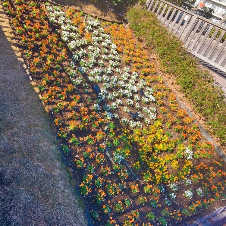 TeraKさんが投稿した東品川海上公園に関する口コミの画像