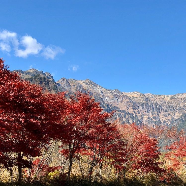 modern_market_3a12さんが投稿した北アルプス大橋に関する口コミの画像