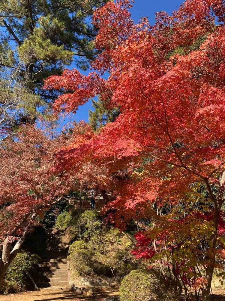 あきさんが投稿した吉見観音（安楽寺）に関する口コミの画像