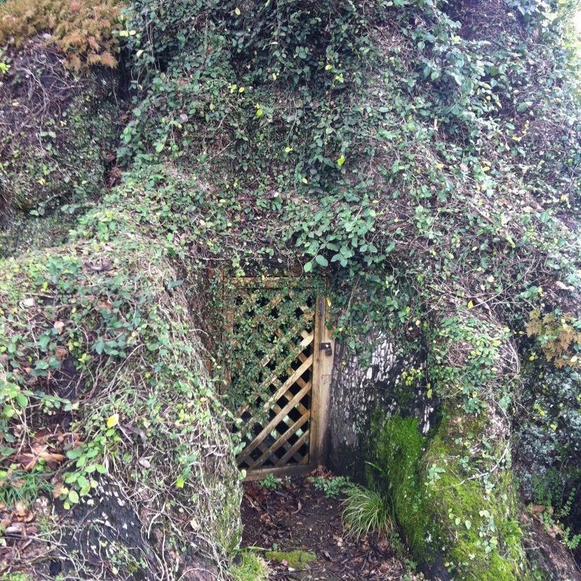 yosshie_pommeさんが投稿した蒲生八幡神社に関する口コミの画像
