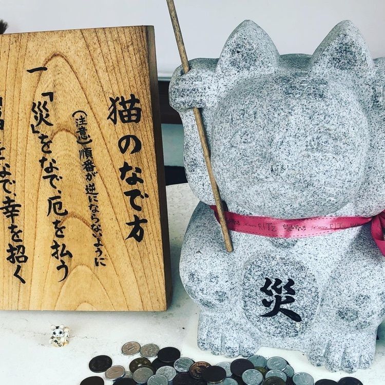 surumeさんが投稿した猫塚公園に関する口コミの画像