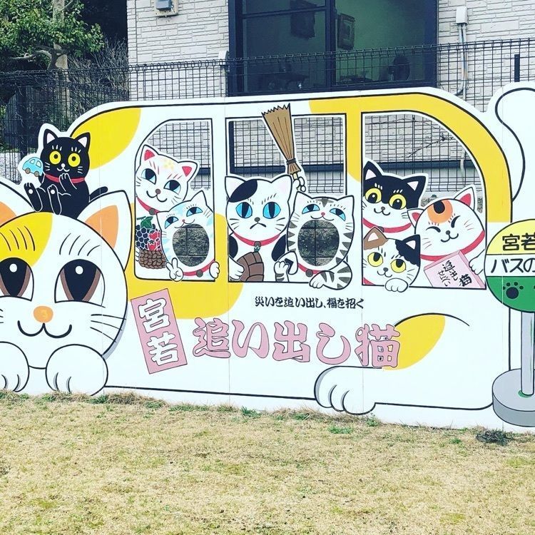surumeさんが投稿した猫塚公園に関する口コミの画像