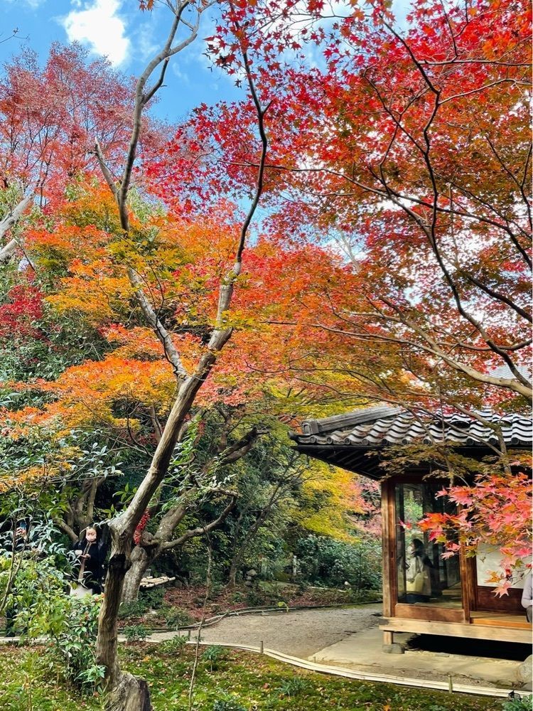 ダルマ大使さんが投稿した厭離庵に関する口コミの画像