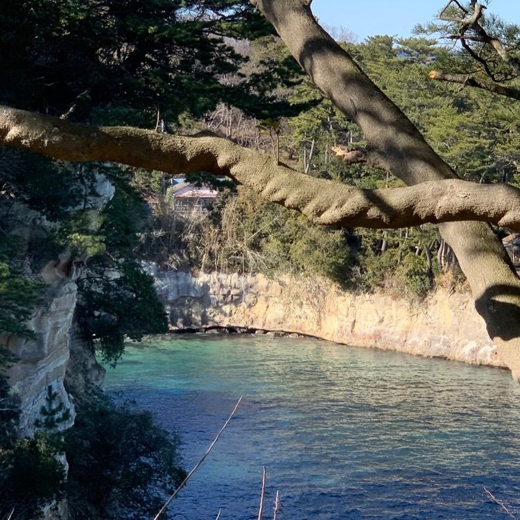 favorite_garden_9805さんが投稿した五浦海岸に関する口コミの画像
