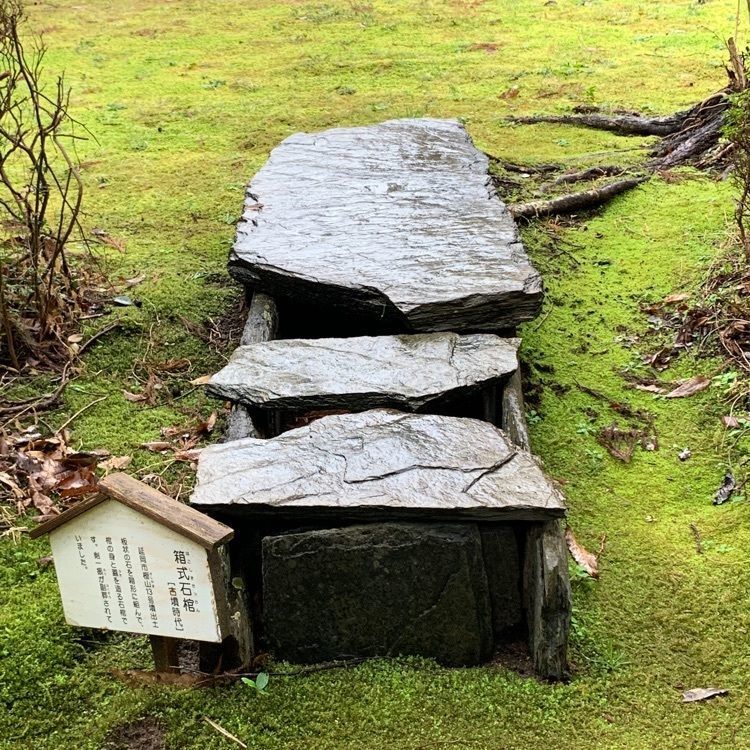 formal_cafeteria_8688さんが投稿した宮崎県総合博物館に関する口コミの画像