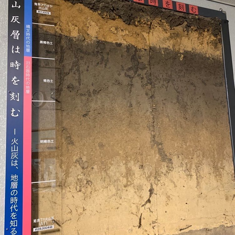 formal_cafeteria_8688さんが投稿した宮崎県総合博物館に関する口コミの画像